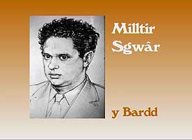 Milltir Sqwar